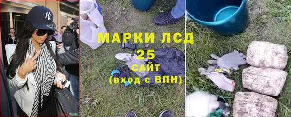 мяу мяу мука Баксан