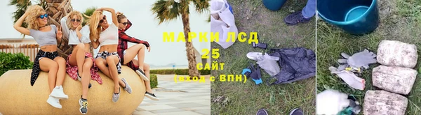 мяу мяу мука Баксан